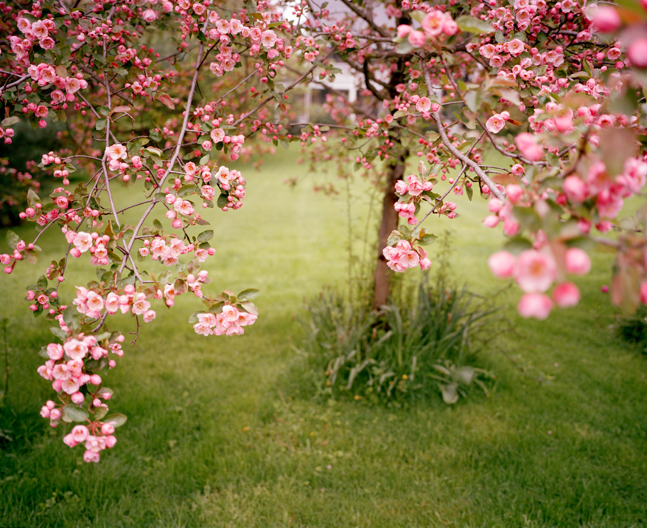10_daydream