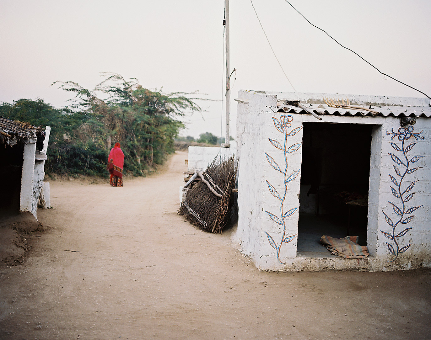 1_redsari