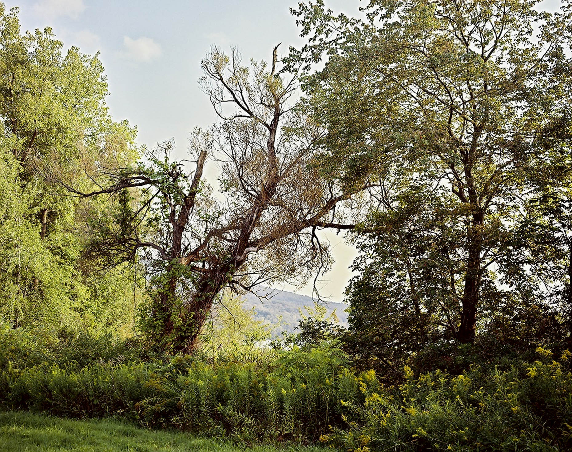 Along the Hudson